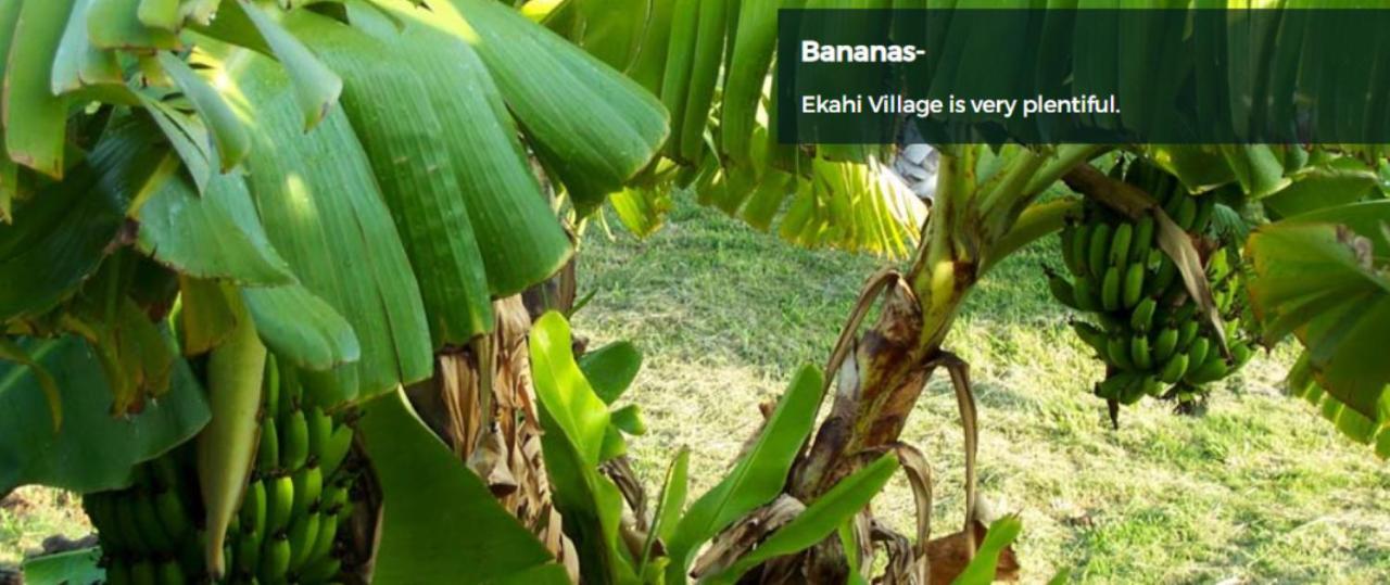 9B Ekahi Village-Studio Bath, Garden View - 1 Minute Stroll To Beach! Вайлеа Екстер'єр фото